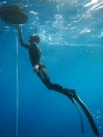צלילה חופשית בראש של נלסון - עם עידן, דן ושחף - ניסוי כלים ל-C4 - 002
