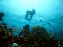 צלילה חופשית - נווה מדבר דרומי - דהב - עם אירית ודן - 012