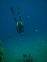    - APNEA -  