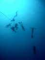 הפנינג צלילה חופשית - כחול עמוק 2009 - ים