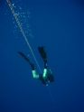 הפנינג צלילה חופשית - כחול עמוק 2009 - ים - 004