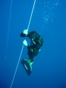 הפנינג צלילה חופשית - כחול עמוק 2009 - ים - 004