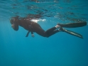    - APNEA -   