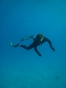    - APNEA -  ,   - 008