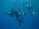 קורס צלילה חופשית - APNEA - עם מיכאל, שקד, עומרי ואייל