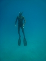    - APNEA - , , ,  