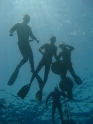 קורס צלילה חופשית - APNEA - עם לידור, שי, אנדריי, אלכס, סהר ורון