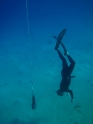    - APNEA -  , , , ,   - 013