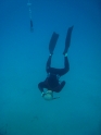    - APNEA -  , , , ,  