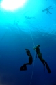 הפנינג צלילה חופשית - כחול עמוק 2010 - ים