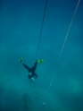    - APNEA -  ,   - 024