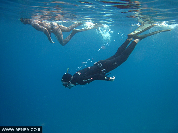    - APNEA -  ,   - 005
