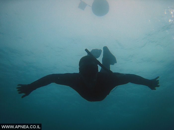   - APNEA -  , ,   - 015