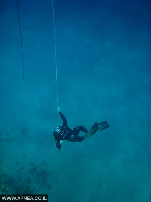    - APNEA -  ,   - 005