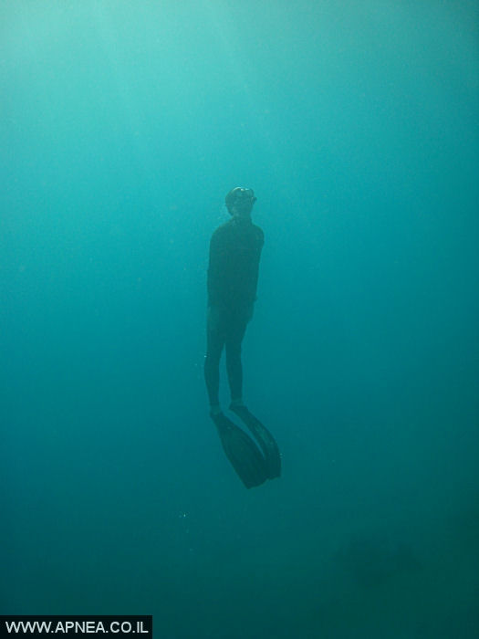    - APNEA -     - 012
