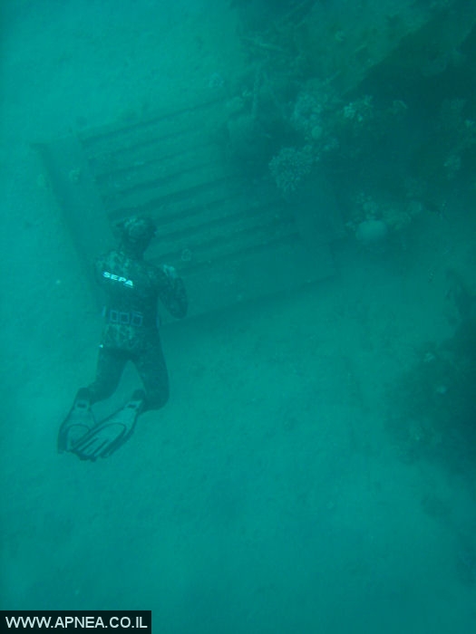    - APNEA -  , ,   - 006
