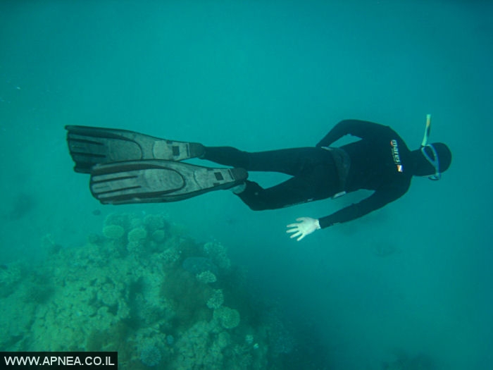    - APNEA -  , , , ,   - 006