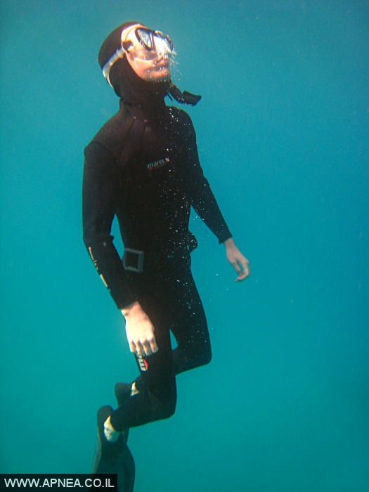    - APNEA -  , , , ,   - 007