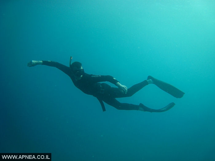    - APNEA -  , , , ,   - 009