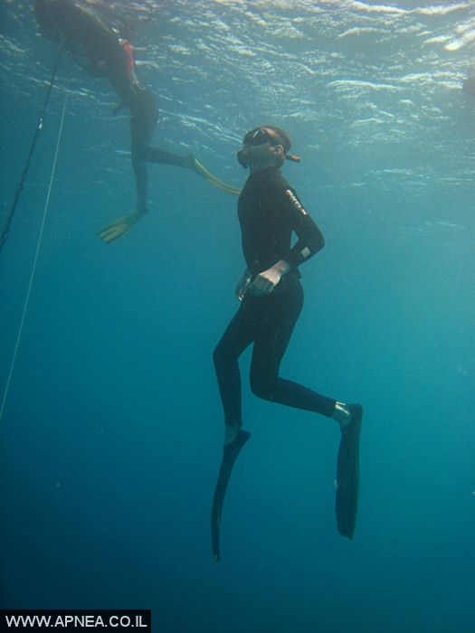    - APNEA -  , , , ,   - 010