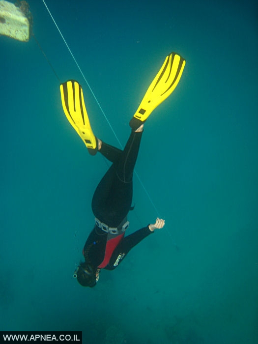   - APNEA -  , , , ,   - 011
