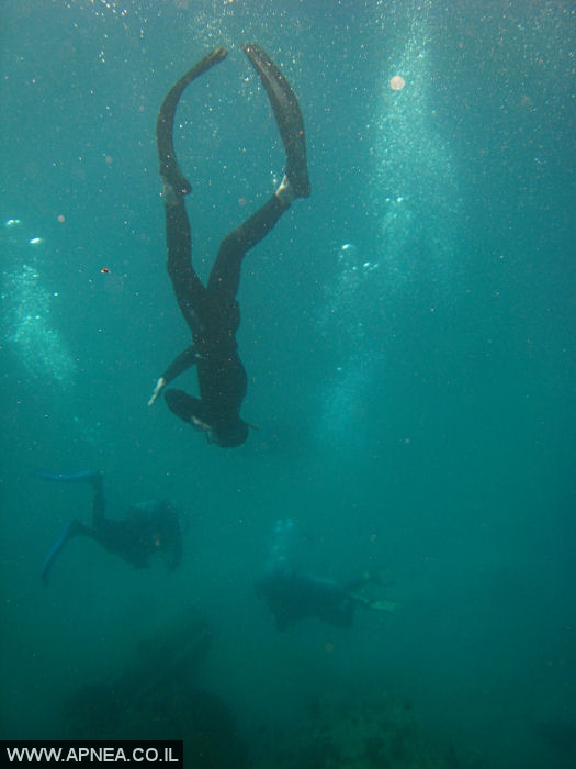    - APNEA -  , , , ,   - 017