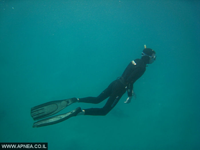    - APNEA -  , , , ,   - 018