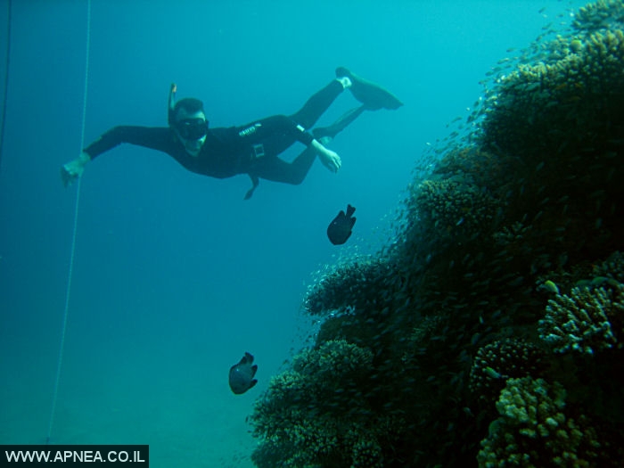    - APNEA -  , , , ,   - 020