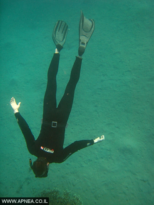    - APNEA -  , , , ,   - 001