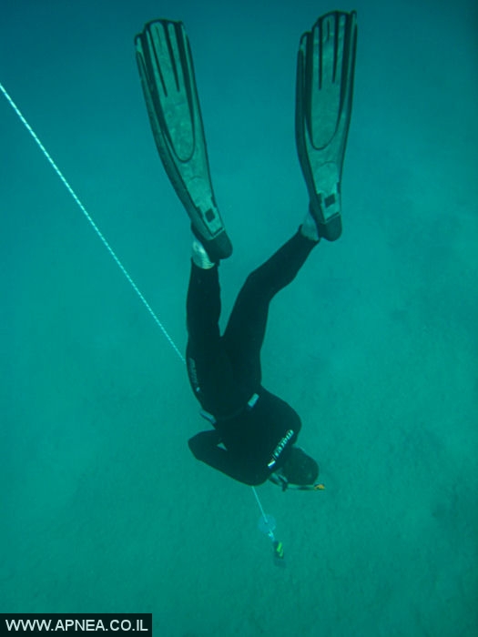    - APNEA -  , , , ,   - 002