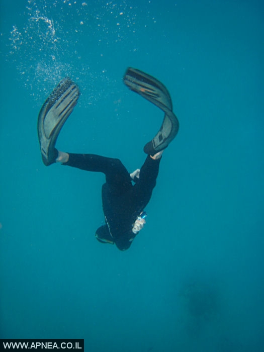   - APNEA -    - 006