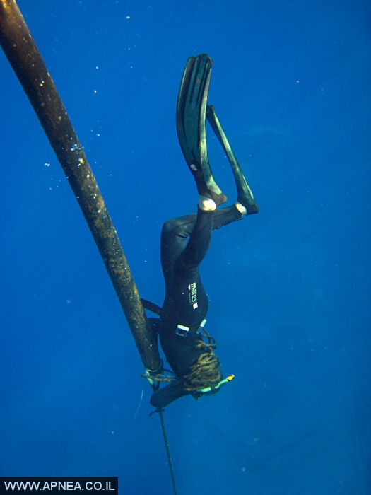   - APNEA -  ,   - 008