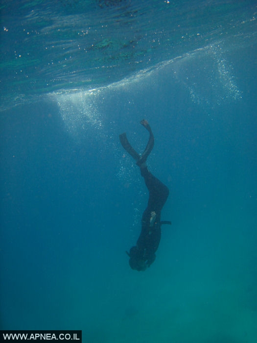    - APNEA -   - 005