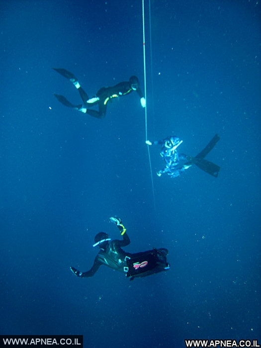 APNEA -  **** AIDA - 7