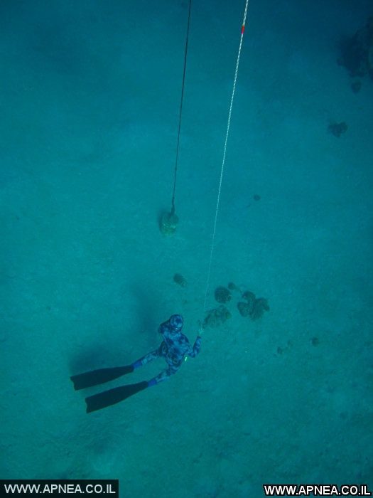  AIDA   -APNEA   - 19