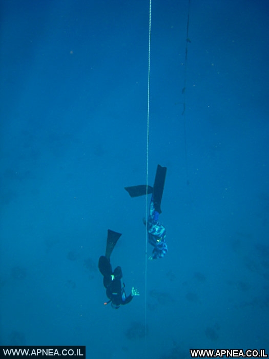  AIDA   -APNEA   - 19