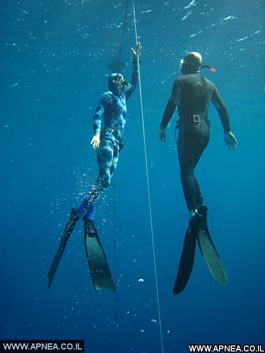  AIDA   -APNEA   - 33