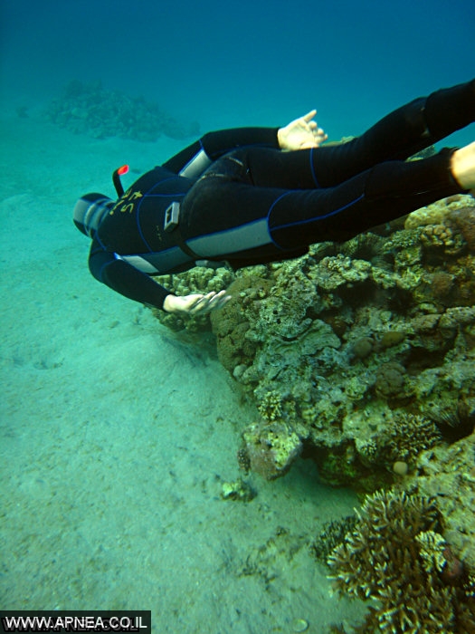  AIDA   -APNEA   - 46