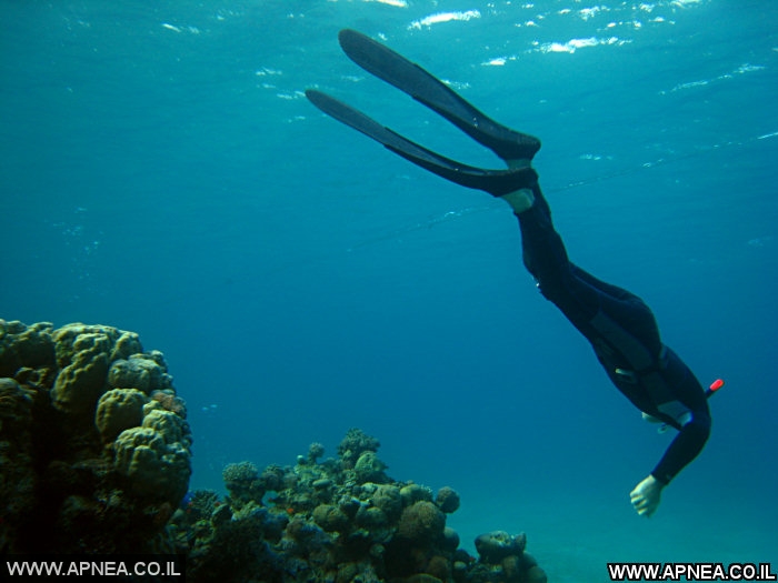  AIDA   -APNEA   - 47
