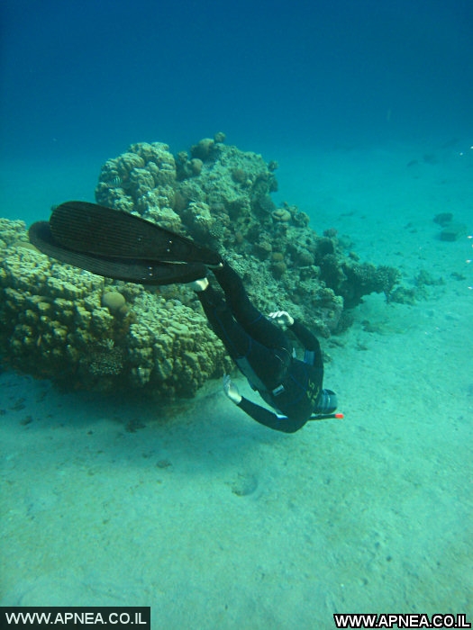  AIDA   -APNEA   - 48