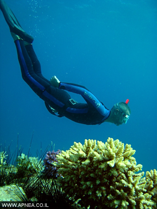  AIDA   -APNEA  ,   - 009