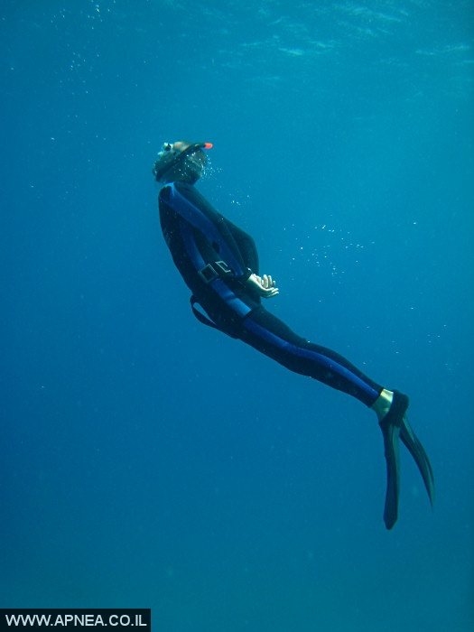  AIDA   -APNEA  ,   - 010