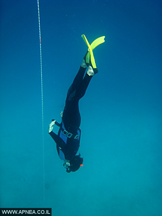  AIDA   -APNEA  ,   - 011