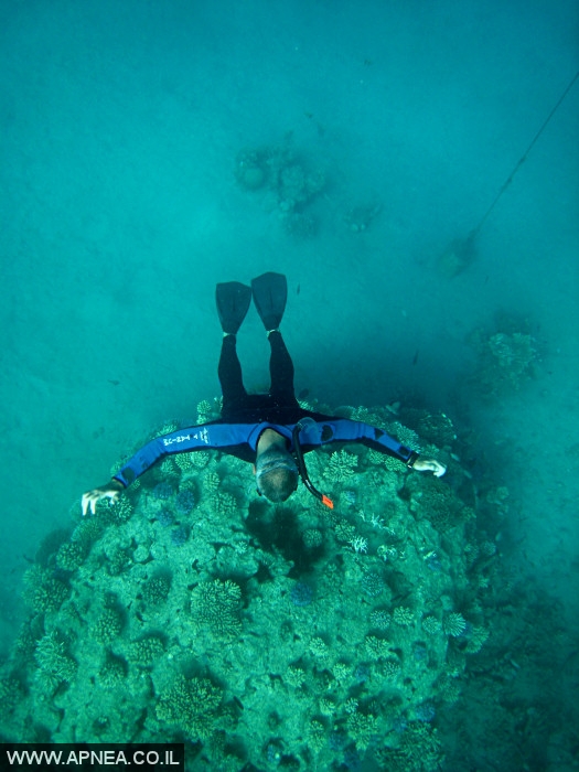  AIDA   -APNEA  ,   - 020