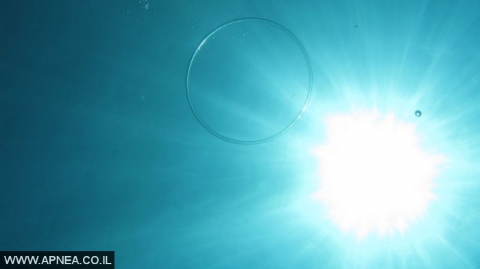 Free Diving in Utila-Honduras - 003