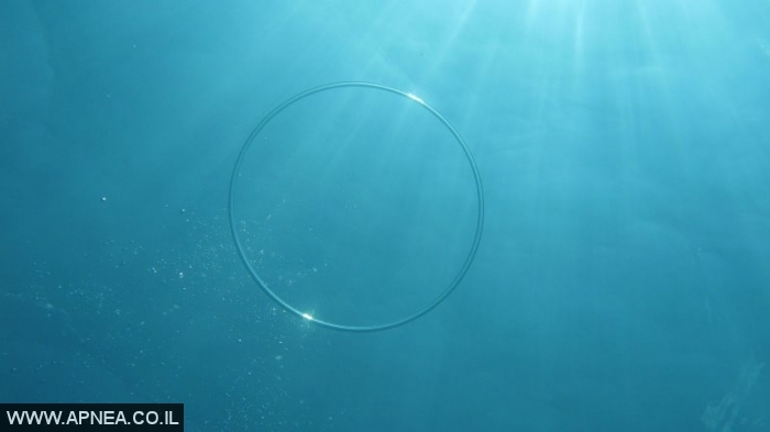 Free Diving in Utila-Honduras - 004