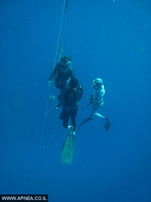    3  - APNEA -  , ,   - 007
