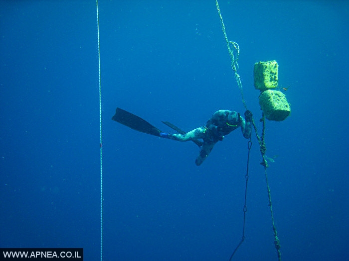    3  - APNEA -  , ,   - 009