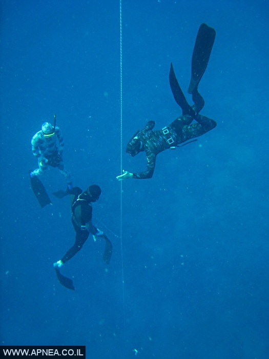    3  - APNEA -  , ,   - 011