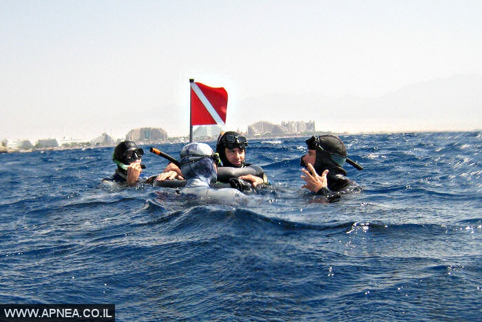    3  - APNEA -  , ,   - 013